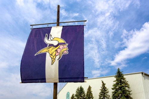 Minnesota Vikings Flag
