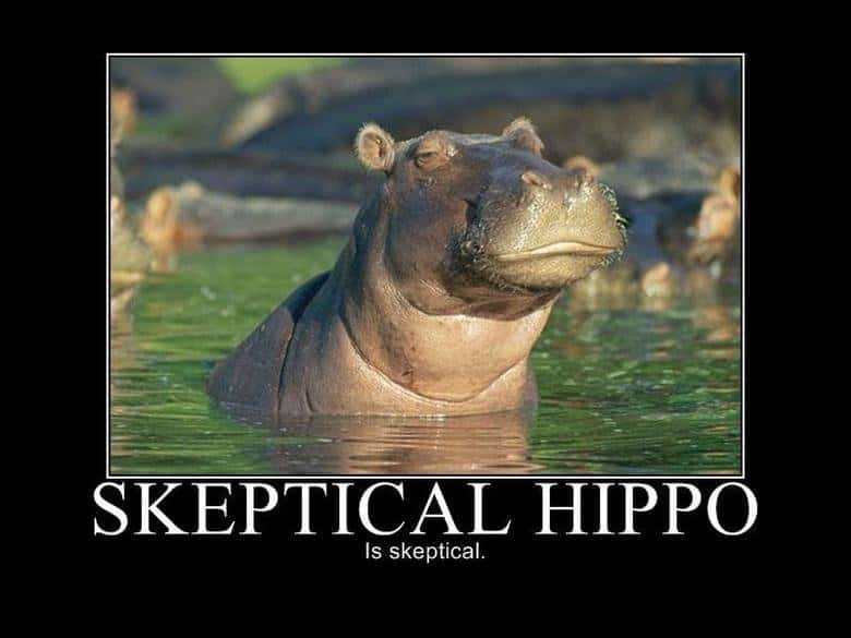 Skeptical Hippo is skeptical
