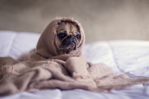don't get discouraged with blogging