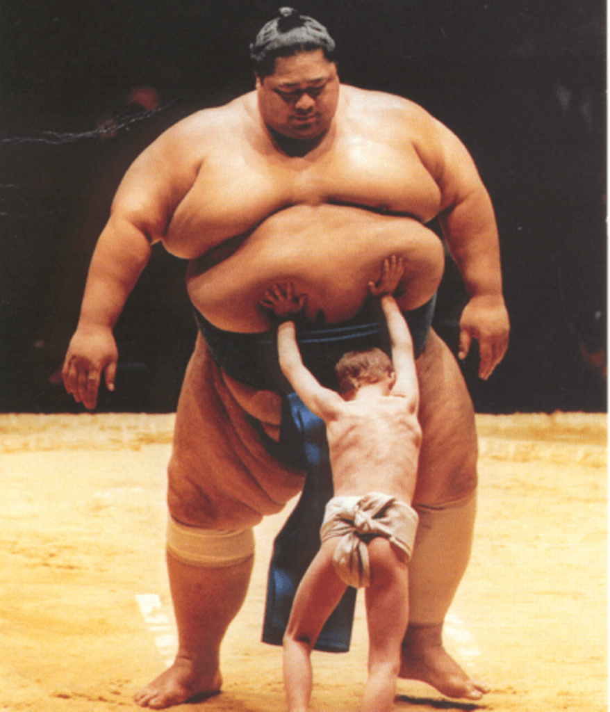 boy pushing on sumo wrestler