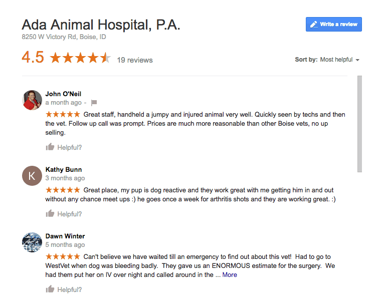 Google reviews of veterinary hospital