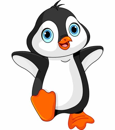 little penguin